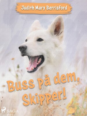 cover image of Buss på dem, Skipper!